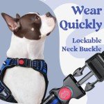 Rabbitgoo No Pull Adjustable Dog Harness - Medium