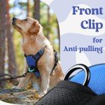 Rabbitgoo No Pull Adjustable Dog Harness - Medium