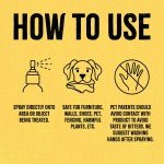 Fooey! No Chew Anti-Chew Spray for Pets