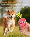 Squeaky Plush Balls for Interactive Dog Play