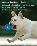 Squeaky Plush Balls for Interactive Dog Play