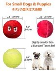 Squeaky Plush Balls for Interactive Dog Play