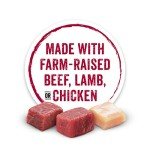 Purina Beneful Wet Dog Food Variety Pack, 30 Cans