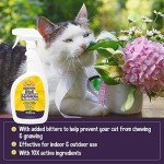 Bodhi Dog Cat Training Spray - 32 Fl Oz