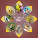 Sunflower Hearts & Chips Wild Bird Food, 5 lbs