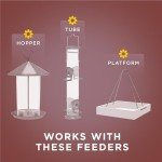 Sunflower Hearts & Chips Wild Bird Food, 5 lbs