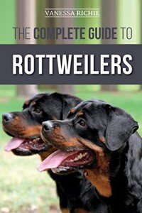 Rottweiler Care: Training, Health, and Feeding Guide