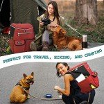 PetAmi Airline Approved Dog Travel Backpack