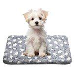 Reversible Dog Bed Mat for All Sizes