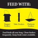 Bugs N' Berries Wild Bird Food, 4.5 lb