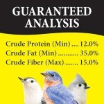 Bugs N' Berries Wild Bird Food, 4.5 lb