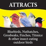 Bugs N' Berries Wild Bird Food, 4.5 lb