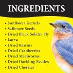Bugs N' Berries Wild Bird Food, 4.5 lb