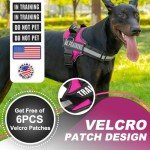 Justyezi No-Pull Adjustable Dog Harness with Leash Clips