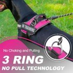 Justyezi No-Pull Adjustable Dog Harness with Leash Clips