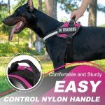 Justyezi No-Pull Adjustable Dog Harness with Leash Clips