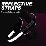 Justyezi No-Pull Adjustable Dog Harness with Leash Clips