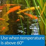 API Pond Fish Food 2.68 lb Bag