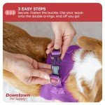 Adjustable No-Pull Dog Harness for Small Dogs