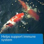 API Pond Fish Food 2.68 lb Bag