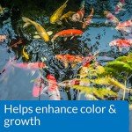 API Pond Fish Food 2.68 lb Bag