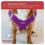 Adjustable No-Pull Dog Harness for Small Dogs