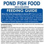 API Pond Fish Food 2.68 lb Bag