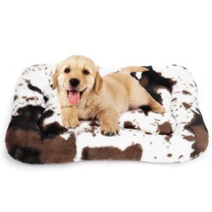 Cozy Fluffy Dog Bed Pad for Small Dogs