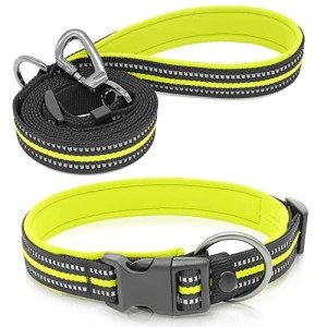 BSEEN Reflective Dog Collar and Leash Set, Nylon Pet Collar Leash with Neoprene Padded, Heavy Duty Puppy Collar with 5 Feet Dog Lead for Dog Walking (Green, Small)
