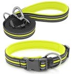 BSEEN Reflective Dog Collar and Leash Set, Nylon Pet Collar Leash with Neoprene Padded, Heavy Duty Puppy Collar with 5 Feet Dog Lead for Dog Walking (Green, Small)