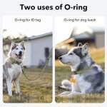 BSEEN Reflective Dog Collar and Leash Set, Nylon Pet Collar Leash with Neoprene Padded, Heavy Duty Puppy Collar with 5 Feet Dog Lead for Dog Walking (Green, Small)