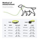 BSEEN Reflective Dog Collar and Leash Set, Nylon Pet Collar Leash with Neoprene Padded, Heavy Duty Puppy Collar with 5 Feet Dog Lead for Dog Walking (Green, Small)