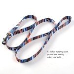 Ihoming Dog Collar and Leash Set for Daily Outdoor Walking Running Training, Splicing Design for Small Boys Girls Dogs Cats Pets, S-Up to 20LBS