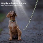 BSEEN Reflective Dog Collar and Leash Set, Nylon Pet Collar Leash with Neoprene Padded, Heavy Duty Puppy Collar with 5 Feet Dog Lead for Dog Walking (Green, Small)