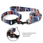 Ihoming Dog Collar and Leash Set for Daily Outdoor Walking Running Training, Splicing Design for Small Boys Girls Dogs Cats Pets, S-Up to 20LBS