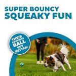 Outward Hound Squeaker Ballz Fetch Dog Toy, Small- 4 Pack