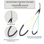 CHAOLUN Dog Grooming Arm with Clamp, Dog Grooming Loop Noose and No Sit Haunch Holder for Medium & Small Pets, 35.4 inches Height Adjustable