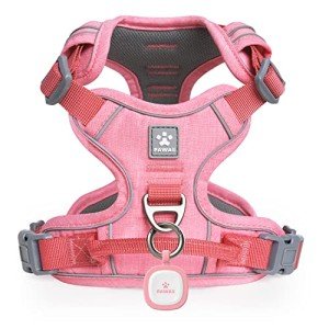 Pawaii No Pull Dog Harness with Pet ID Tag,Reflective Strips No Choke Front O Ring Breathable Mesh Adjustable Soft Padded Pet Vest with Easy Control Handle for Medium Dogs