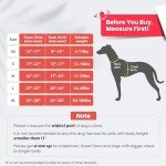 Pawaii No Pull Dog Harness with Pet ID Tag,Reflective Strips No Choke Front O Ring Breathable Mesh Adjustable Soft Padded Pet Vest with Easy Control Handle for Medium Dogs