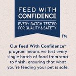 Natural Balance Limited Ingredient Adult Grain-Free Dry Dog Food, Reserve Duck & Potato Recipe, 22 Pound (Pack of 1)