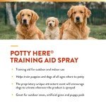 NaturVet – Potty Here Training Aid Spray | Attractive Scent Helps Train Puppies & Dogs Where To Potty | Formulated For Indoor & Outdoor Use | 32 oz