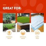 NaturVet – Potty Here Training Aid Spray | Attractive Scent Helps Train Puppies & Dogs Where To Potty | Formulated For Indoor & Outdoor Use | 32 oz