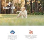 NaturVet – Potty Here Training Aid Spray | Attractive Scent Helps Train Puppies & Dogs Where To Potty | Formulated For Indoor & Outdoor Use | 32 oz