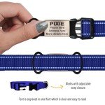 Slide On Pet Tag ID - Silent Custom Dog Tags - Name Tags Personalized - No Jingle Slide On Cat Tag ID - Engraved Collars