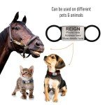 Slide On Pet Tag ID - Silent Custom Dog Tags - Name Tags Personalized - No Jingle Slide On Cat Tag ID - Engraved Collars