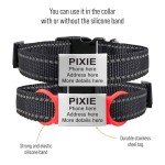 Slide On Pet Tag ID - Silent Custom Dog Tags - Name Tags Personalized - No Jingle Slide On Cat Tag ID - Engraved Collars