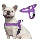 rabbitgoo Dog Harness No Pull, Quick Fit for Medium Sized Dog with Soft Padded Handle, Chest Adjustable Reflective Pet Vest, No Choke Escape Proof for Walking Training, Purple M