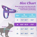 rabbitgoo Dog Harness No Pull, Quick Fit for Medium Sized Dog with Soft Padded Handle, Chest Adjustable Reflective Pet Vest, No Choke Escape Proof for Walking Training, Purple M