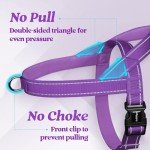 rabbitgoo Dog Harness No Pull, Quick Fit for Medium Sized Dog with Soft Padded Handle, Chest Adjustable Reflective Pet Vest, No Choke Escape Proof for Walking Training, Purple M