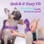 rabbitgoo Dog Harness No Pull, Quick Fit for Medium Sized Dog with Soft Padded Handle, Chest Adjustable Reflective Pet Vest, No Choke Escape Proof for Walking Training, Purple M